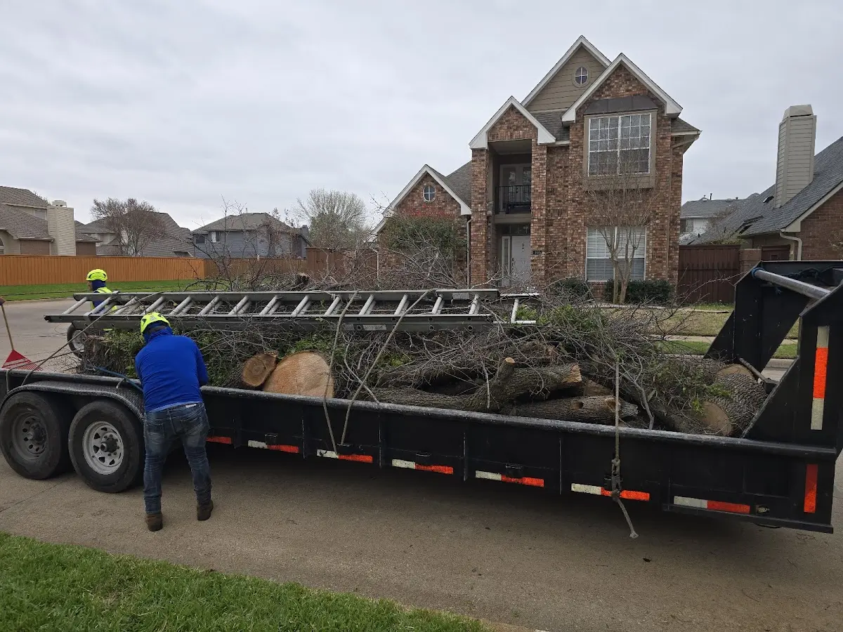 Expert Tree Fertilization with proper safety equipment in Clarkesville